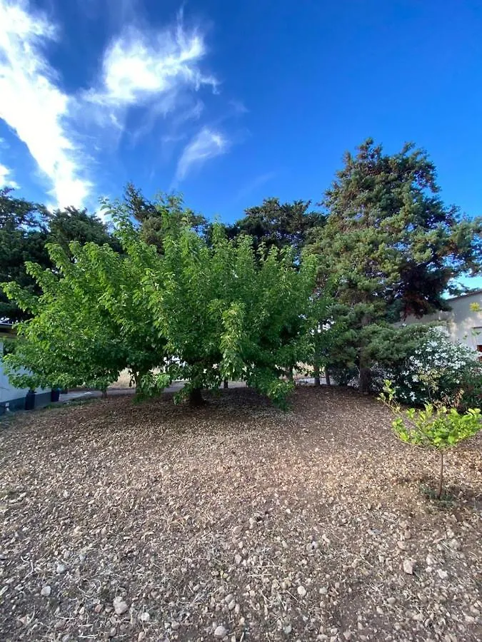 Appartamento La Casa del Gelso Tonnara di Bonagia