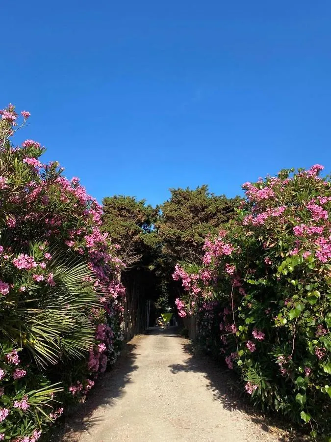 Appartamento La Casa del Gelso Tonnara di Bonagia